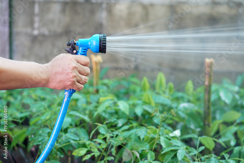 Hand holding a garden hose spray nozzle watering young plants in a nursery garden. Concept of plant care, irrigation, agriculture and sustainable gardening with fresh green seedlings.