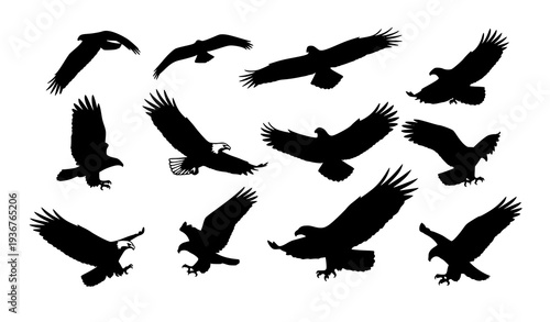 Eagle and flying bird silhouette vector set wildlife nature bird icons