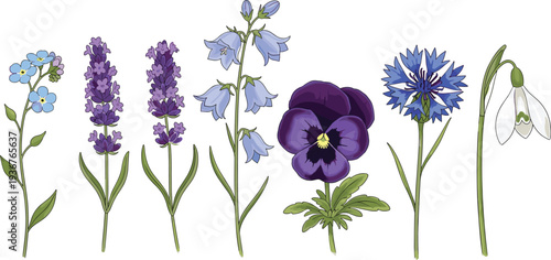 Spring Garden Flowers Collection with Lavender Bellflower Pansy and Snowdrop Vector Illustration