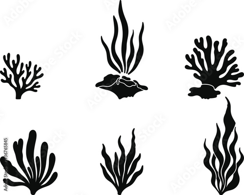 Black silhouettes of various coral and seaweed species on a white background