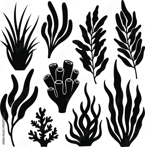 Black silhouettes of various seaweed coral and aquatic plant life