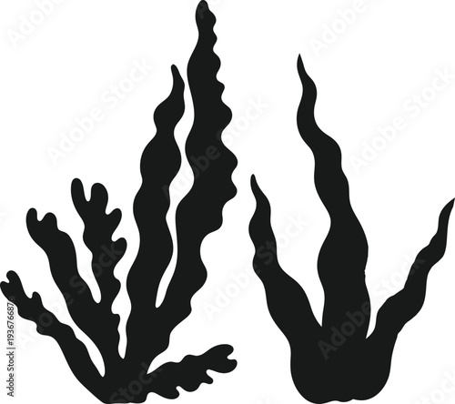 Black silhouette of seaweed or kelp resembling underwater plant life