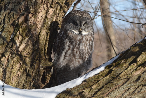Wallpaper Mural Parc Maritime Nicolet 22 Février 2026 Torontodigital.ca