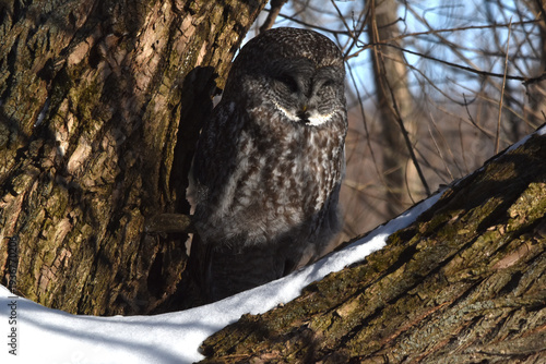 Wallpaper Mural Parc Maritime Nicolet 22 Février 2026 Torontodigital.ca