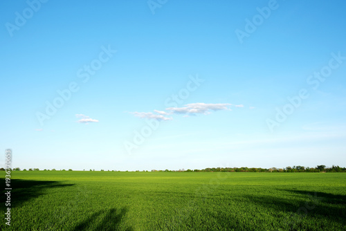 Berlin South/Brandenburg fields – documentary style, real world, authentic situation, natural light, genuine moment captured by human photographer, no ai