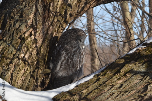 Wallpaper Mural Parc Maritime Nicolet 22 Février 2026 Torontodigital.ca