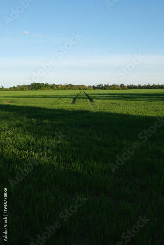 Berlin South/Brandenburg fields – documentary style, real world, authentic situation, natural light, genuine moment captured by human photographer, no ai