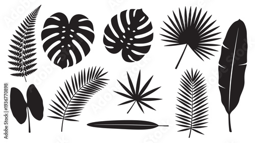 Leaves black silhouette set with various tropical plant shapes including monstera, fern, and palm fronds for nature design.