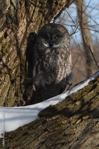Wallpaper Mural Parc Maritime Nicolet 22 Février 2026 Torontodigital.ca