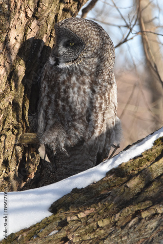 Wallpaper Mural Parc Maritime Nicolet 22 Février 2026 Torontodigital.ca