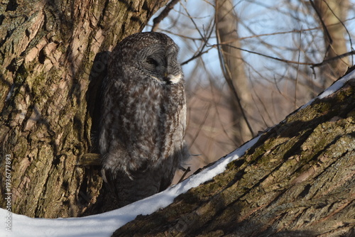 Parc Maritime Nicolet 22 Février 2026