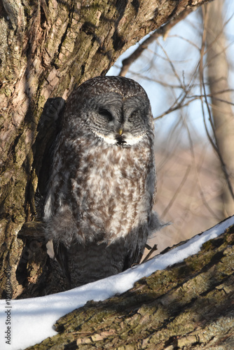 Wallpaper Mural Parc Maritime Nicolet 22 Février 2026 Torontodigital.ca