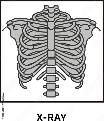 Human Rib Cage X Ray Medical Anatomy Illustration Vector Design