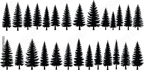 Evergreen pine and spruce tree silhouette set, forest timber collection, cad drawing flat vector illustration, outdoor nature mountain landscape elements
