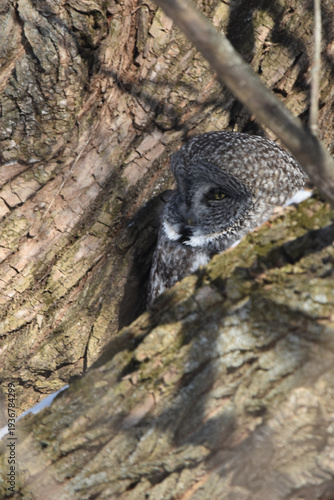 Wallpaper Mural Parc Maritime Nicolet 22 Février 2026 Torontodigital.ca