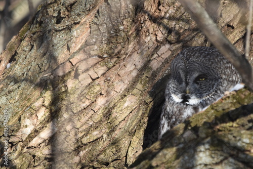 Wallpaper Mural Parc Maritime Nicolet 22 Février 2026 Torontodigital.ca