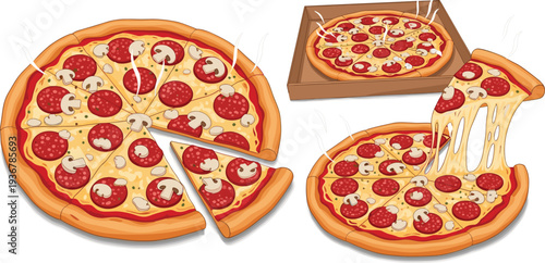 Delicious Pepperoni Pizza Whole Slice and Box Cartoon Vector Illustration Set