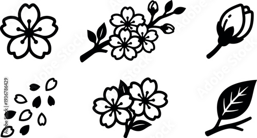Flat design minimal black cherry blossom icon set six elements close up branch bud petal leaf simple botanical vector collection