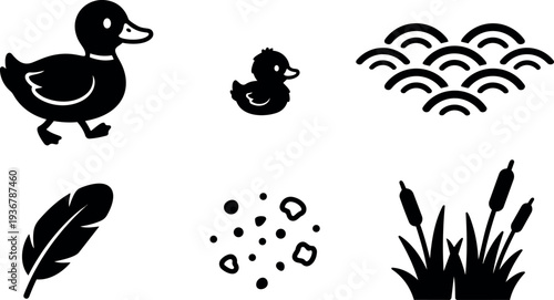 Flat design vector icon set of mother duck looking right with duckling feather reeds pond waves seeds minimalist black silhouette