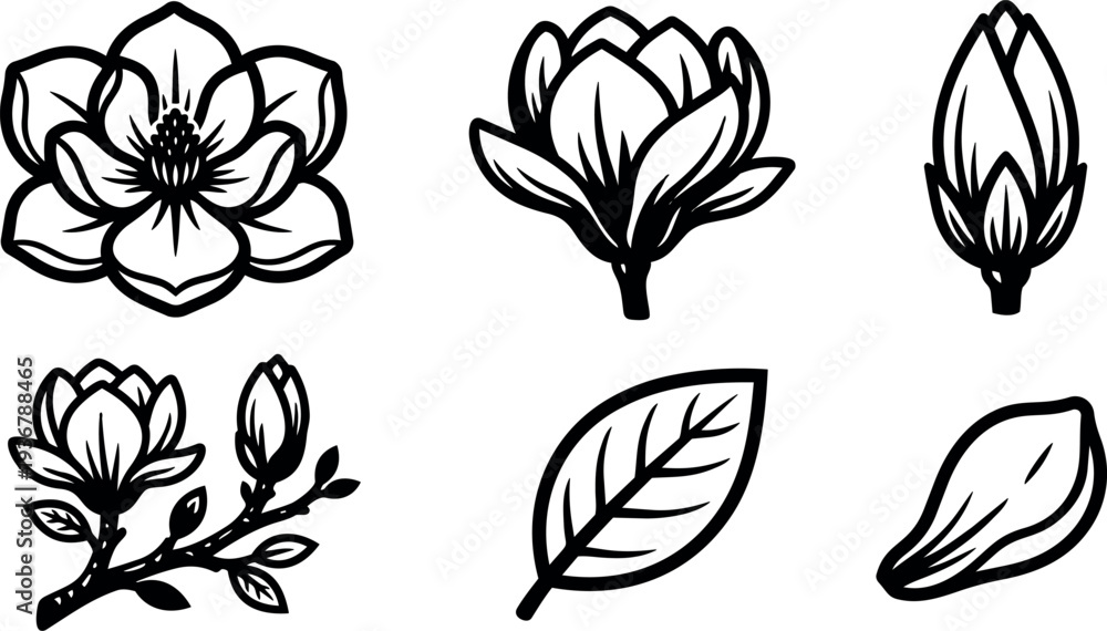 Fototapeta premium Minimalist line art magnolia flower icon set six botanical icons close up branch bud leaf outline vector black stroke flat