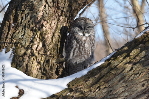 Wallpaper Mural Parc Maritime Nicolet 22 Février 2026 Torontodigital.ca