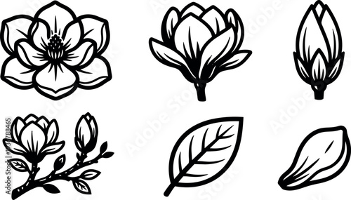 Minimalist line art magnolia flower icon set six botanical icons close up branch bud leaf outline vector black stroke flat