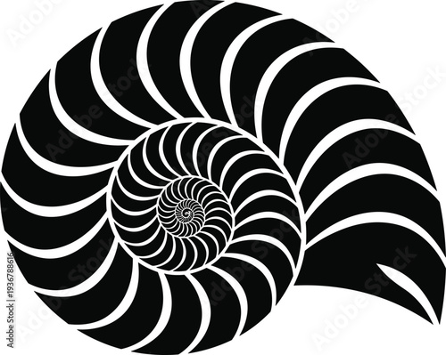 Black and white nautilus shell vector illustration featuring a perfect fibonacci spiral golden ratio design isolated on white background for marine nature and mathematical art.