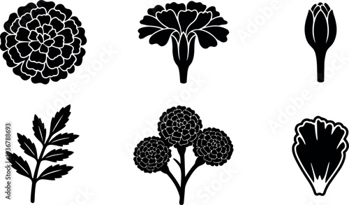 Flat design floral icon set with marigold carnation buds leaves and cluster view in black silhouette on white background