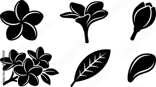 Flat design plumeria flower icon set close up six floral silhouettes isolated on white background bold contrast minimal vector icons