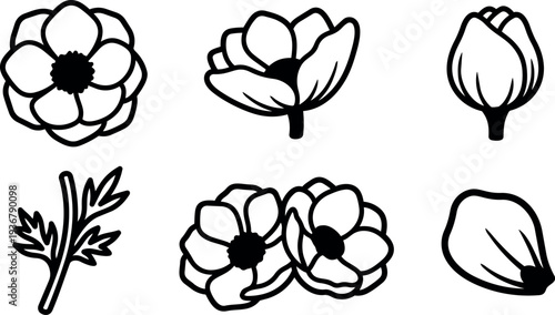 Line art close up anemone flower icons six black outline floral elements isolated on white minimal vector set for design