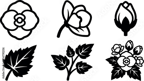 Minimalist line art botanical icons set of camellia rose bud leaf branch and floral cluster in black silhouette vector collection