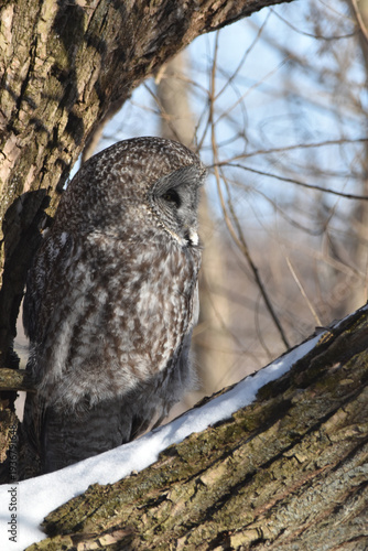 Wallpaper Mural Parc Maritime Nicolet 22 Février 2026 Torontodigital.ca
