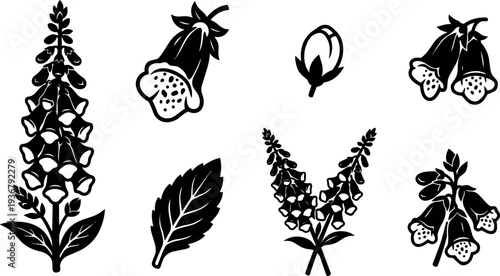 Minimalist silhouette vector close up foxglove flower with single leaf and bud icon set black white high contrast botanical studio