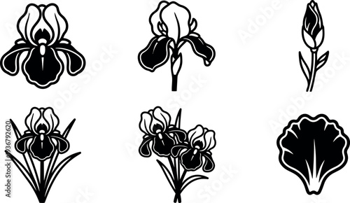 Minimalist line art iris flower icon set with single bloom bud cluster and leaf silhouettes in black and white vector