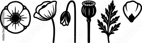 Minimalist black line art poppy parts set with petals seed pod stem leaf and floral elements in flat vector icons