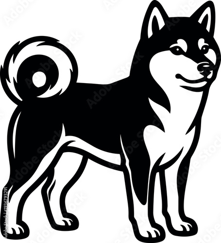Vector mascot black and white shiba inu standing three quarter view looking forward with curled tail bold line art