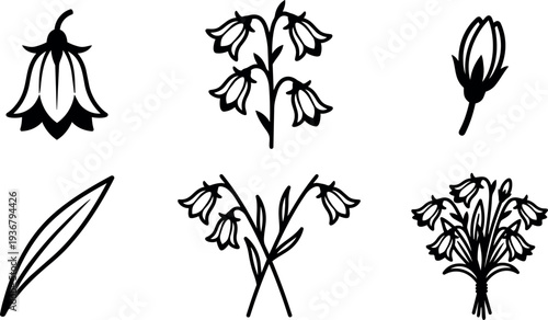Minimalist line art botanical icons of snowdrop flowers six compositions close up stem bud leaf bouquet black white vector icons