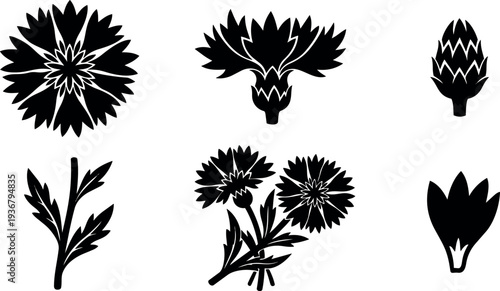 Flat silhouette vector set of carnation flower parts close up top view botanical icons in black isolated cluster stem leaf