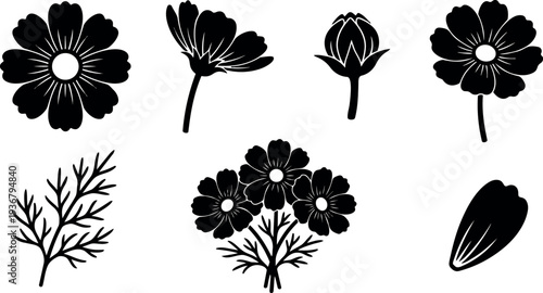 Flat silhouette floral vector close up cluster of cosmos like wildflower stems isolated on white background simple botanical art