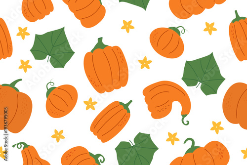 Pumpkin vegetable seamless pattern. Nature background of pumpkins isolated on white. Gardening, farming, harvesting and food concept. Vector flat banner.