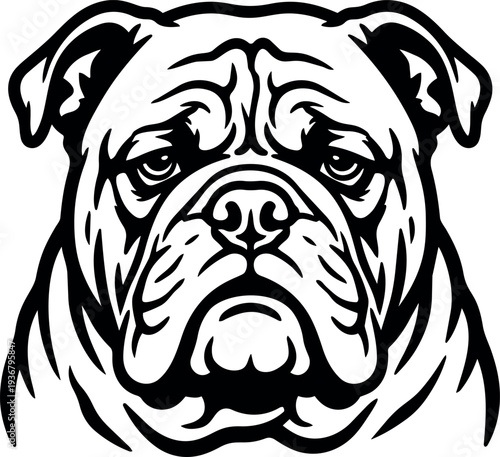 Tattoo flash front view bulldog head bold line art vector black and white symmetrical fierce expression wrinkled jowls ink strokes