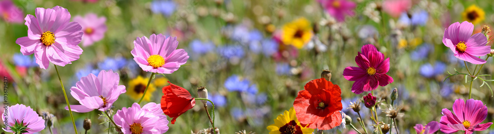 Fototapeta premium Garten 1549