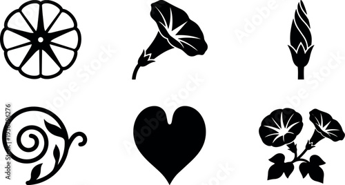 Flat design close up morning glory floral icons set with heart swirl bud slice and two flower cluster black silhouette