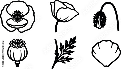 Minimalist line art poppy botanical vector icons set showing six floral elements close up black silhouette arrangement isolated clean outline