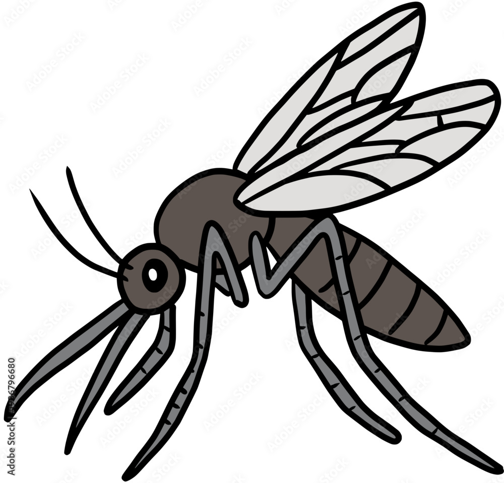 Obraz premium mosquito cartoon illustration