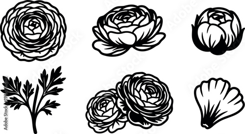 Line art ranunculus flower icons black vector set close up three blossoms single leaf petal bold outline top view