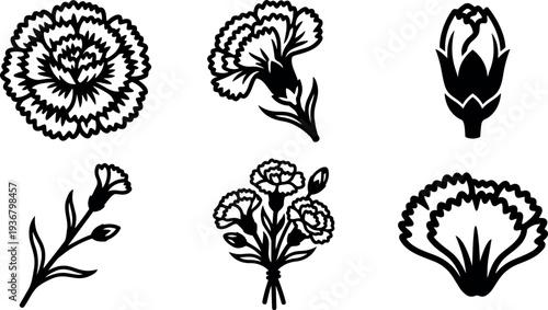 Vector line art carnation icons close up multiple angles bouquet single bloom bud silhouette floral minimal set black on white