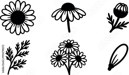 Minimalist flat design chamomile and daisy botanical icon set six black vector floral silhouettes on white background simple line art