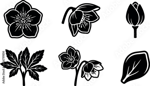 Minimalist vector floral icon set close up hellebore flowers leaves buds and single petal in black silhouette line art flat