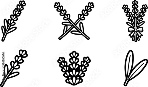 Minimalist line art lavender vector icon set six herb sprigs various arrangements close up botanical outline decorative stamped mono color